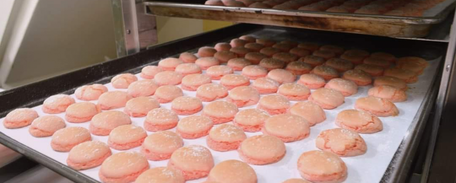 恩惠食品